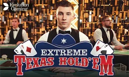 PHTAYA Sports Betting and Cockfighting